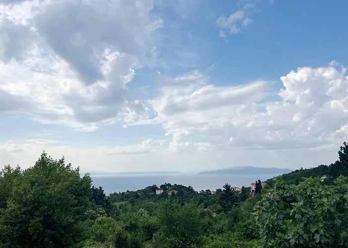 Ruscus, Veprinac, *